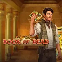 Book of Dead play slot